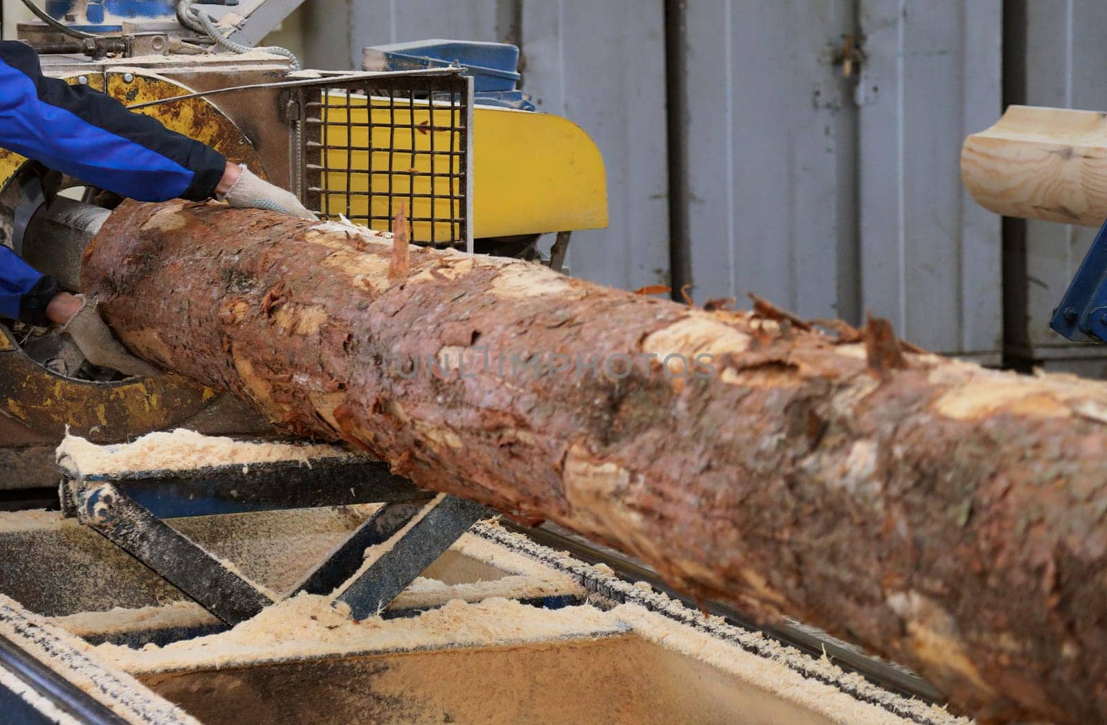 A worker uses machinery to process a large log, creating sawdust in a lumber yard during bright daylight.