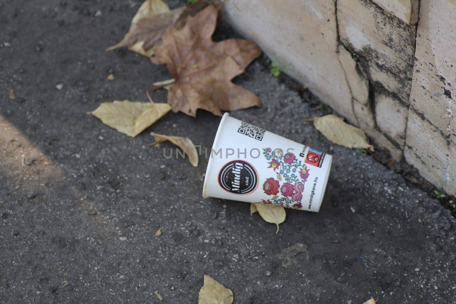 A white coffee cup, decorated with floral patterns, has fallen to the ground next to yellow and brown autumn leaves, capturing the essence of a seasonal change.