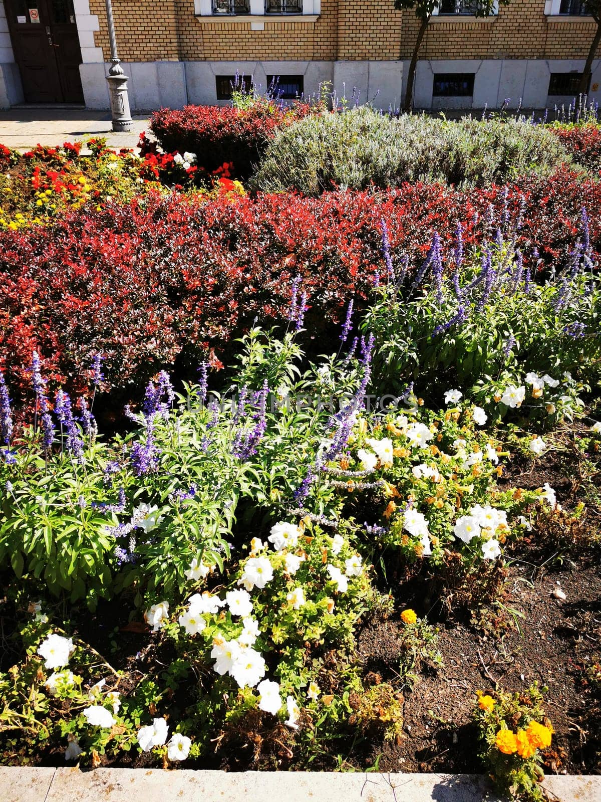 A vibrant flowerbed blooms with various colorful flowers, including white, yellow, and purple, surrounded by lush greenery in a sunny urban park during springtime.