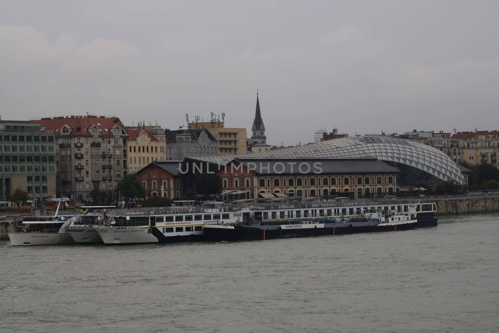 Several cruise ships are tied up along the riverbank, alongside a city filled with historic structures and a modern architectural dome under a cloudy sky.