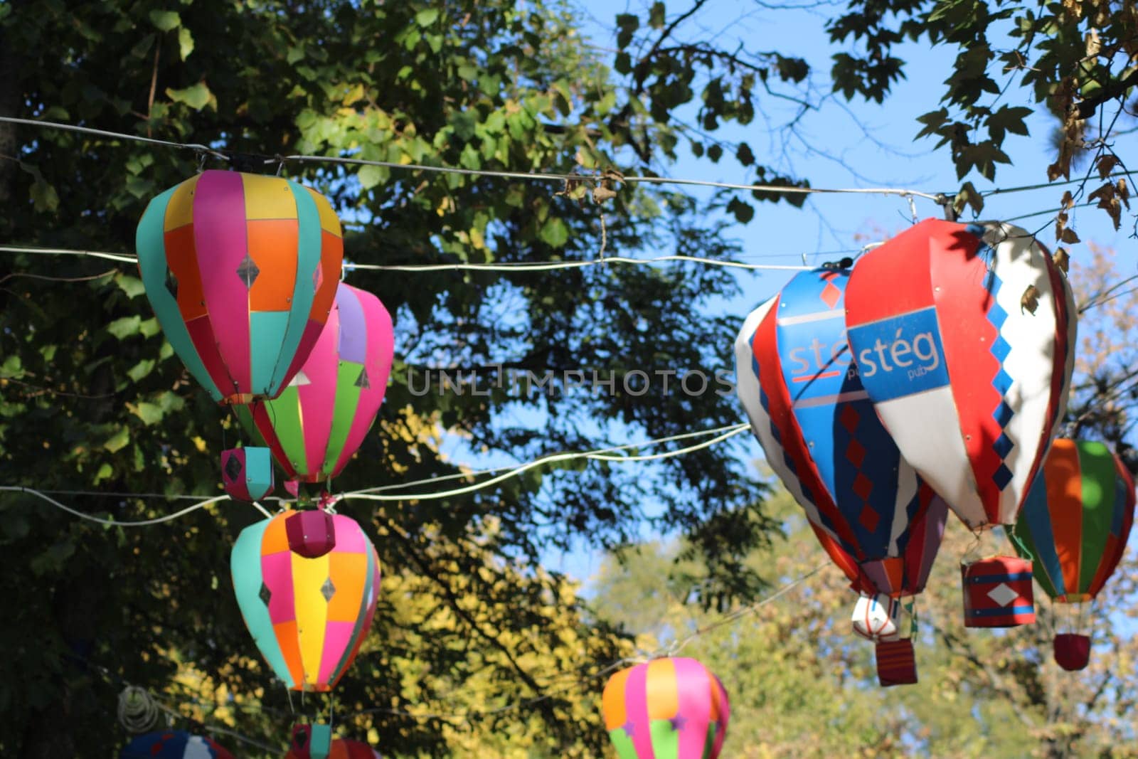 Brightly colored hot air balloons dangle between trees at a lively outdoor festival in early autumn, adding an enchanting touch to the atmosphere and delighting visitors.
