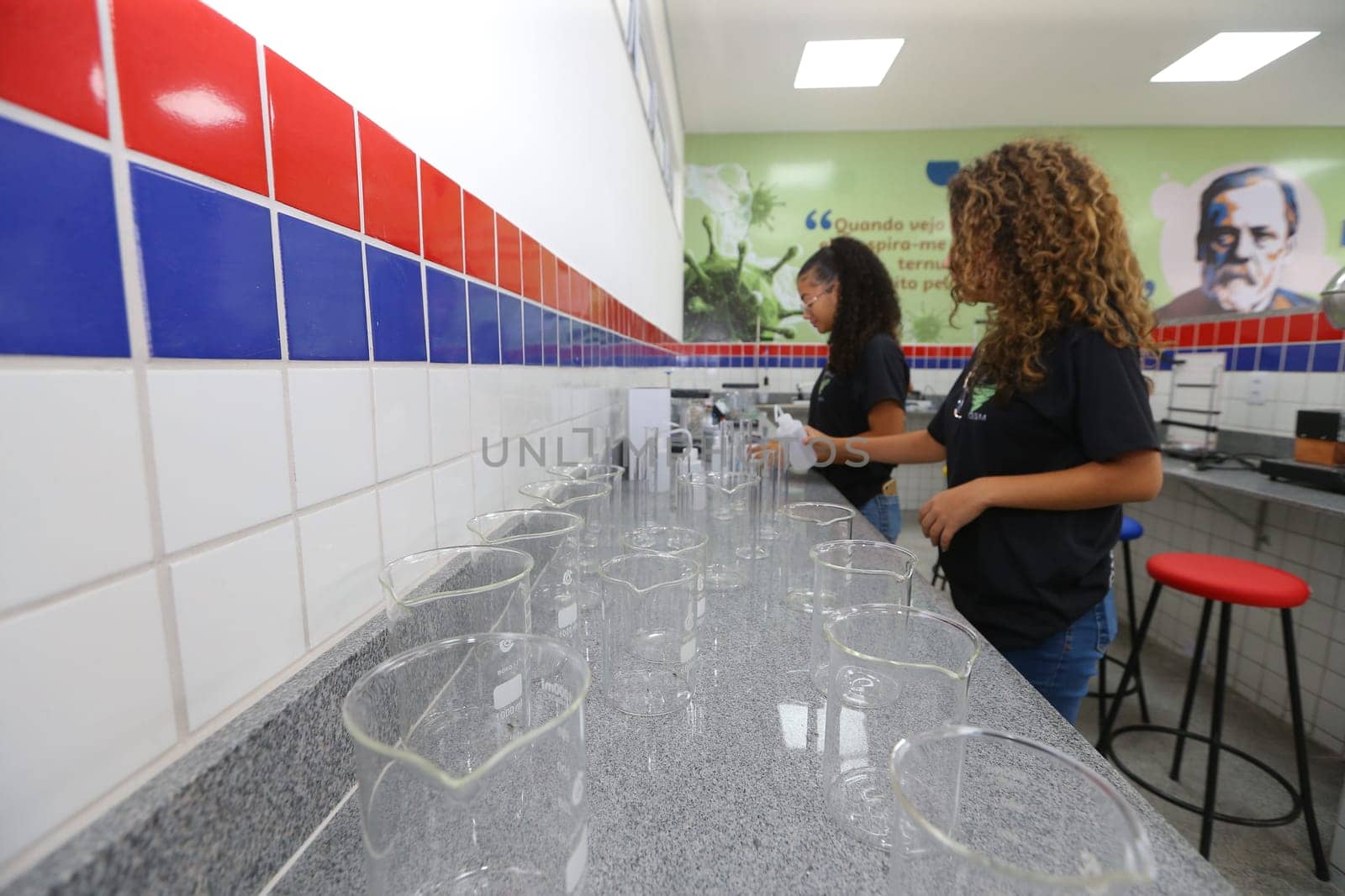pilao arcado, bahia, brazil - november 13, 2024: students from a public school in the state of Bahia are seen in a science lab