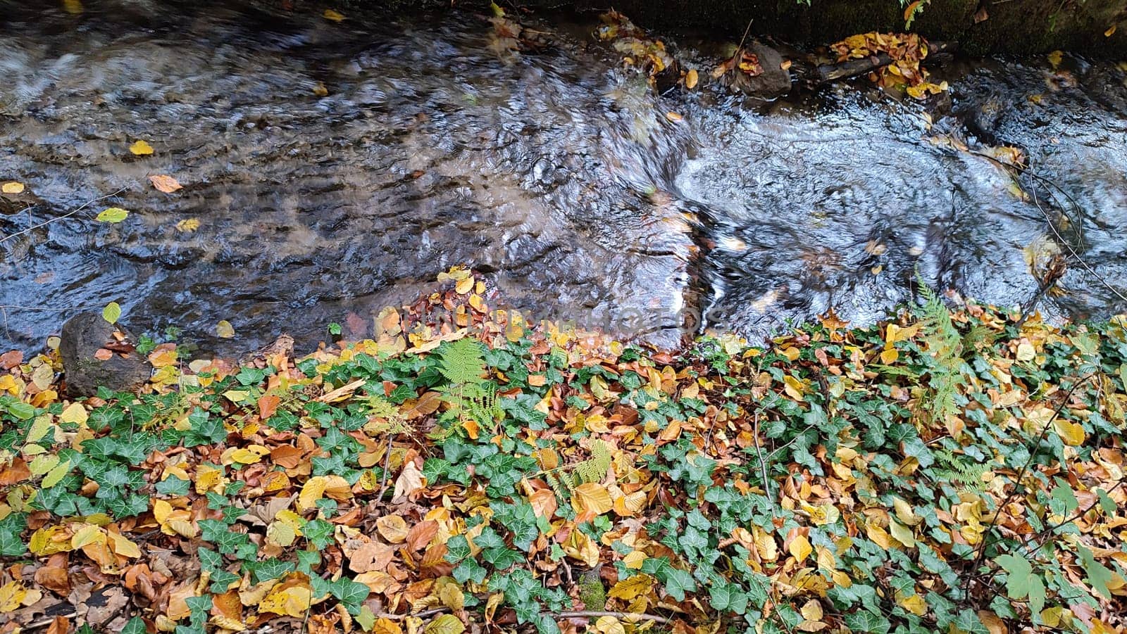 nature waterfall. stream water, forest background, green yellow leaves summer autumn. High quality photo