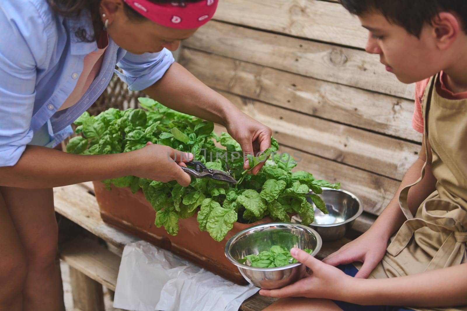 A mother and son harvest fresh spinach together from a garden box, promoting urban gardening and sustainable living.
