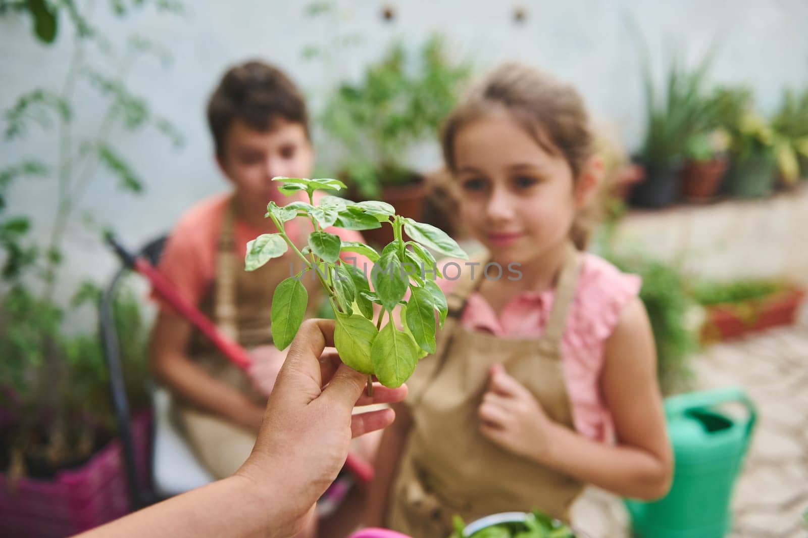 Kids learning gardening in a backyard setting, focusing on a plant. Engaged in nature, the children are experiencing hands-on gardening lessons while wearing aprons and surrounded by plants.