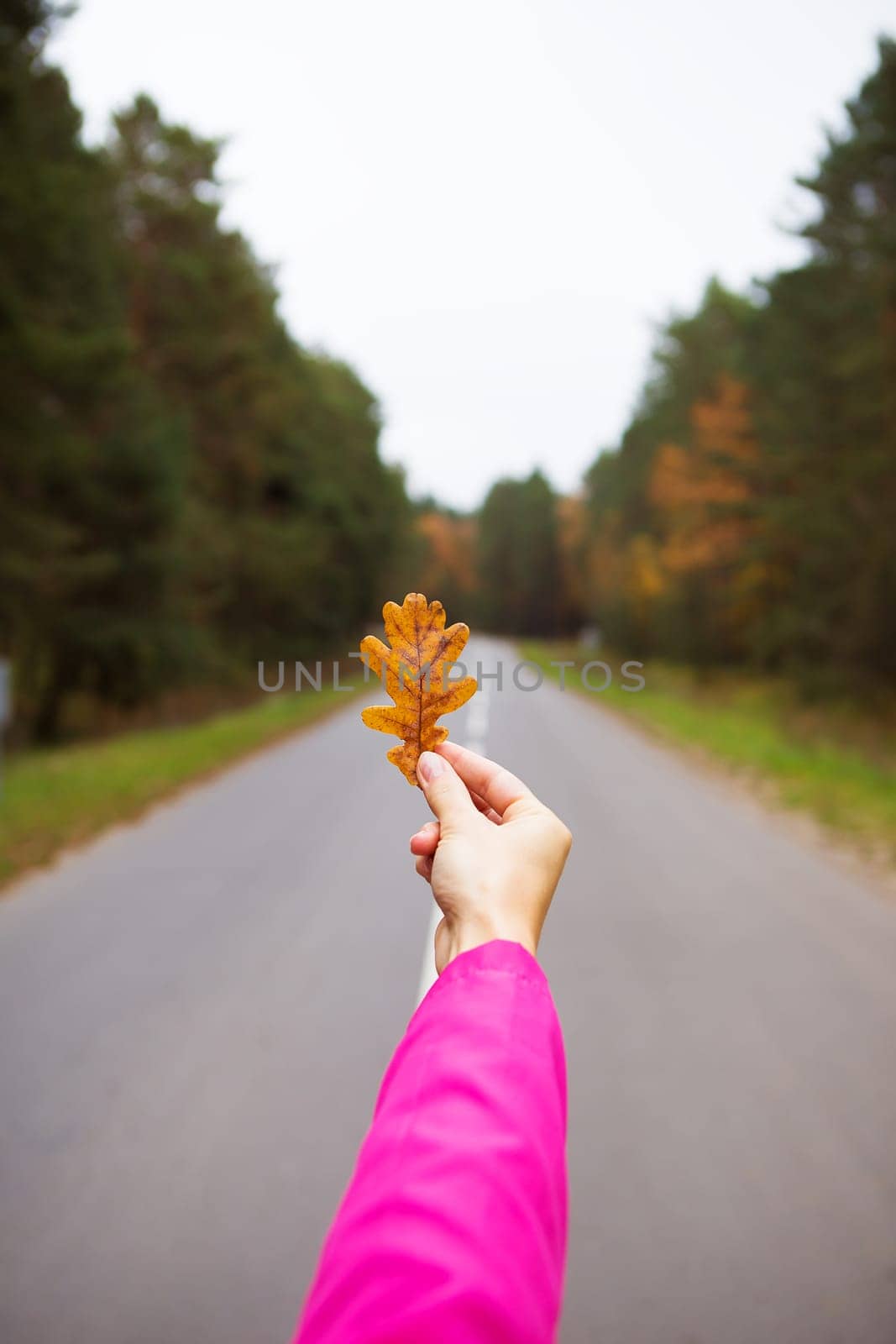 the girl is standing on the road holding a yellow leaf by sfinks