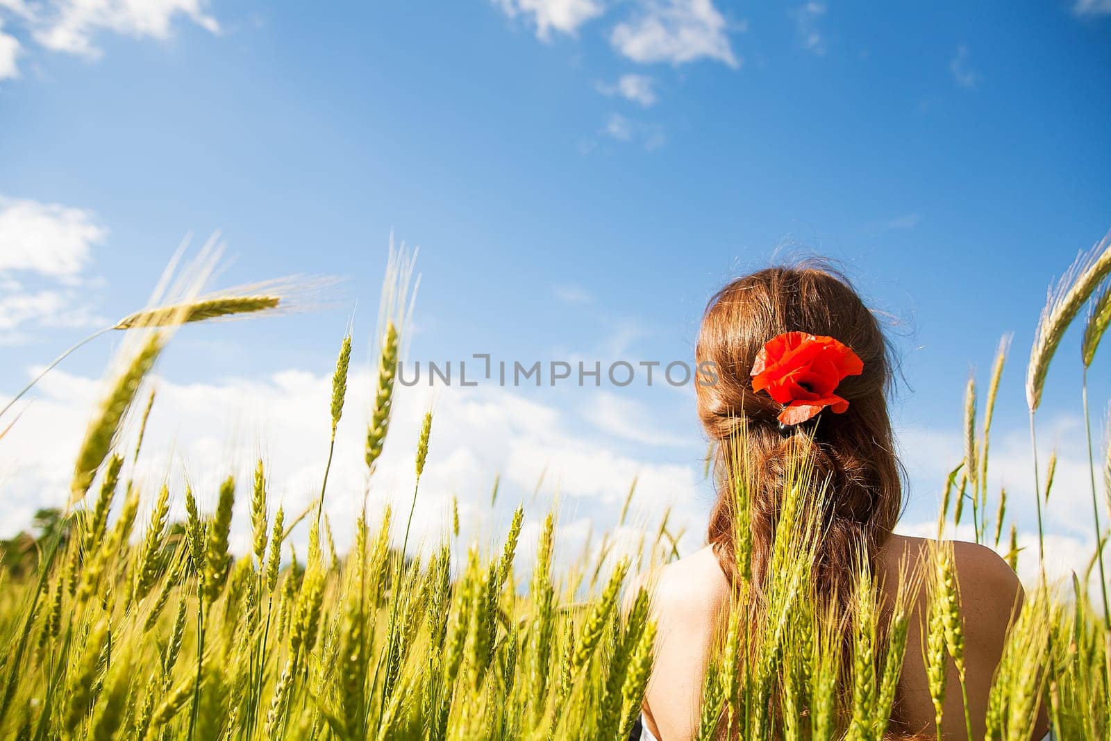 Beautiful girl is standing with her back in a white dress in a wheat field.