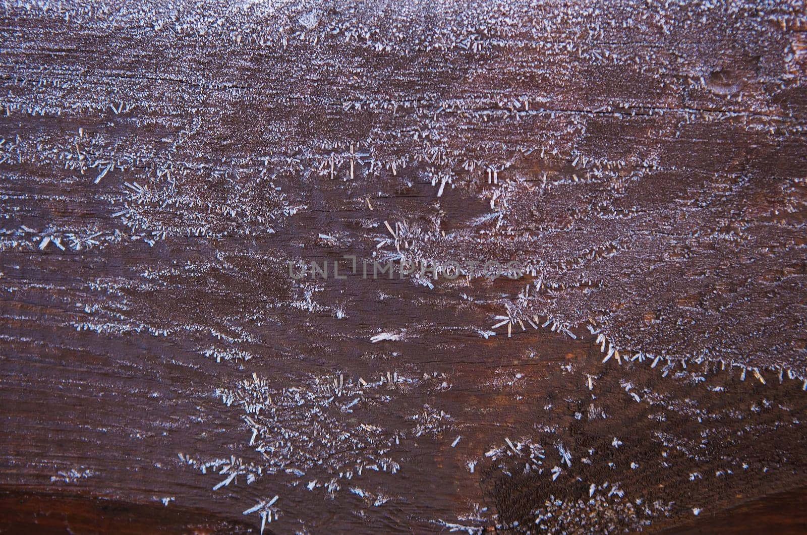 The brown wood texture with snow flakes over it. Winter background.