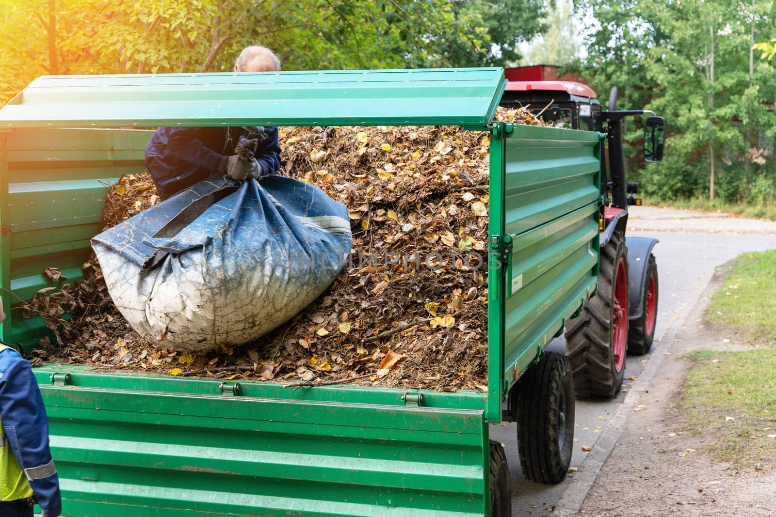 Loading of fallen leaves into a tractor. cleaning of fallen autumn leaves in the autumn park. Municipal city services clean up the city. Autumn