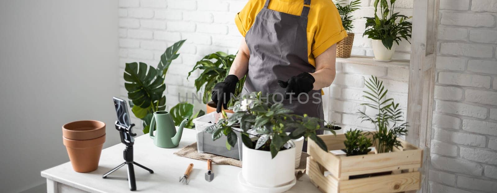 Relaxing home gardening banner. Smiling middle aged woman in black gloves with potted plant records gardening video blog in modern house - blogging and florist vlog influencer by Satura86