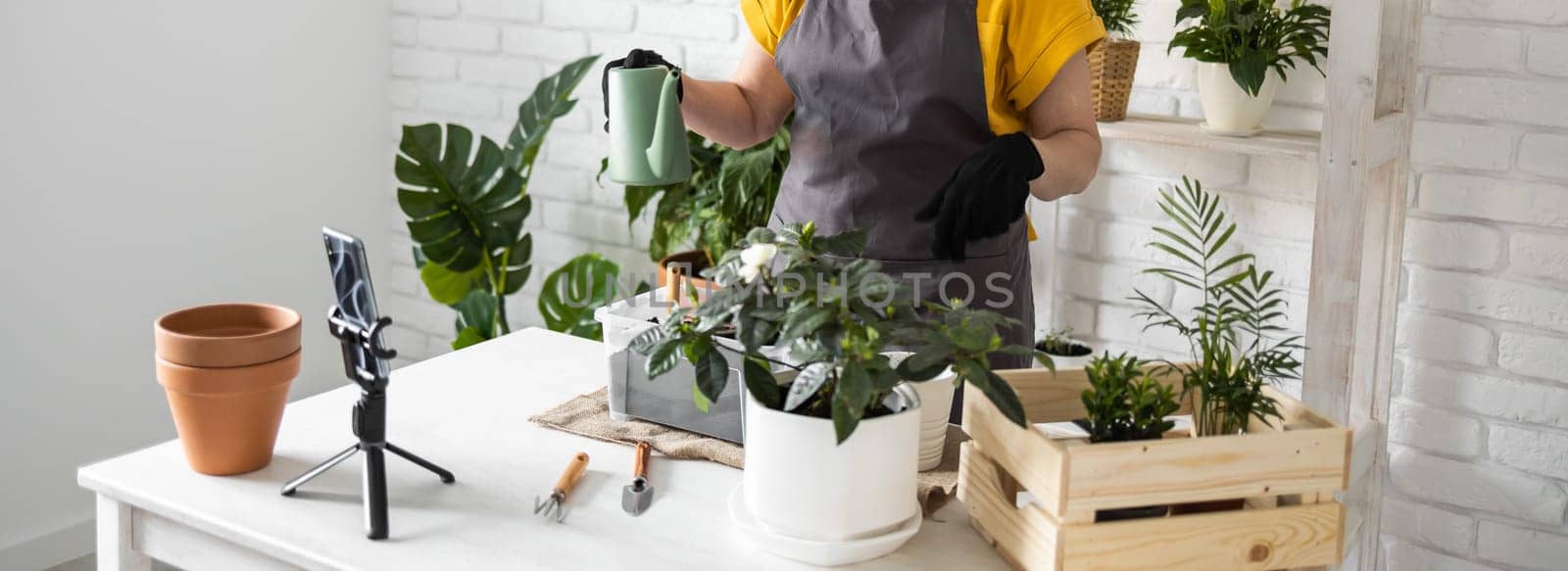 Relaxing home gardening. Smiling middle aged woman in black gloves with potted plant records gardening video blog in modern house - blogging and florist vlog influencer.