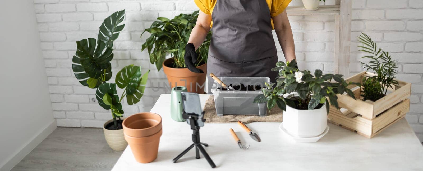 Relaxing home gardening. Smiling middle aged woman in black gloves with potted plant records gardening video blog in modern house - blogging and florist vlog influencer.