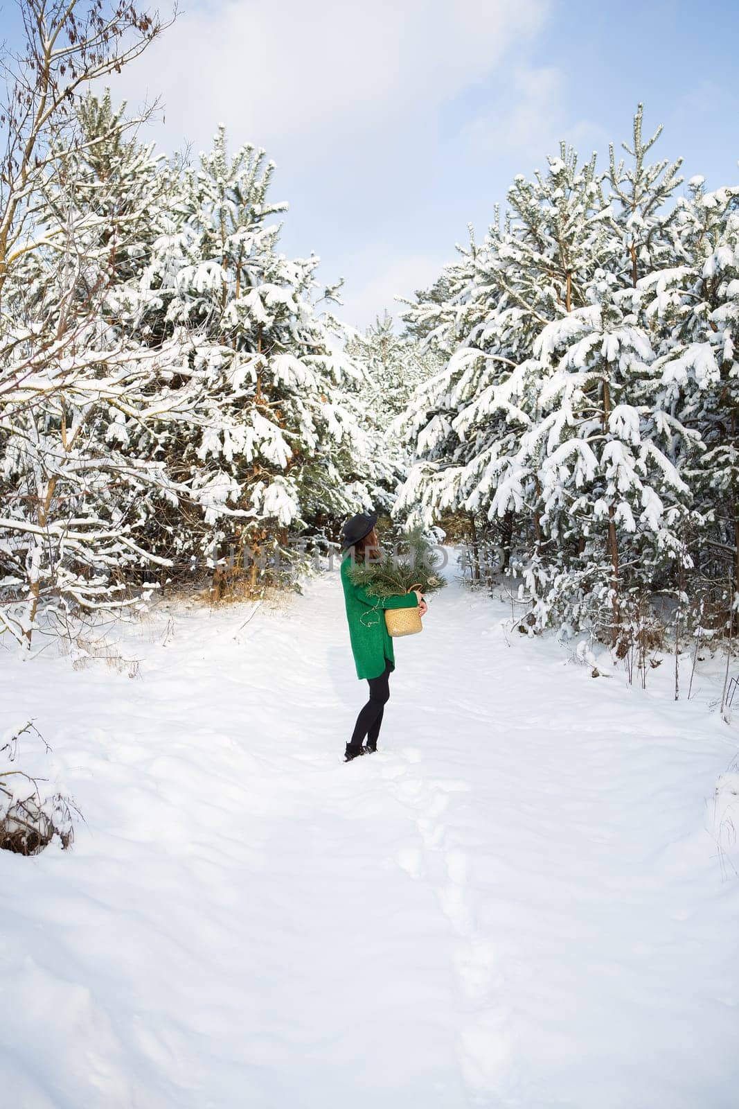 A young beautiful girl in a green sweater and hat stands in the winter forest along with a basket with pine branches