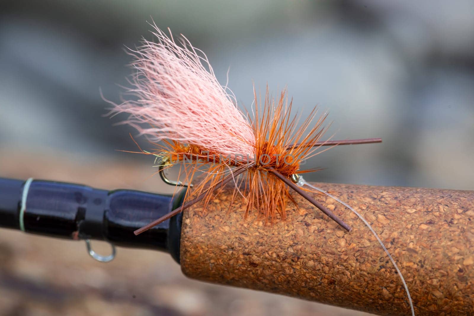 Golden Stonefly Dry Fly for Fishing by joshuaraineyphotography