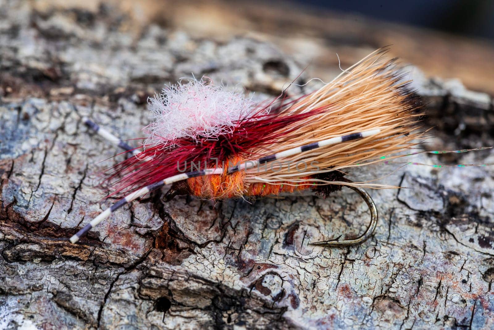 Stonefly fly fishing pattern ready for a line at a river in Oregon during a day of trout angling.