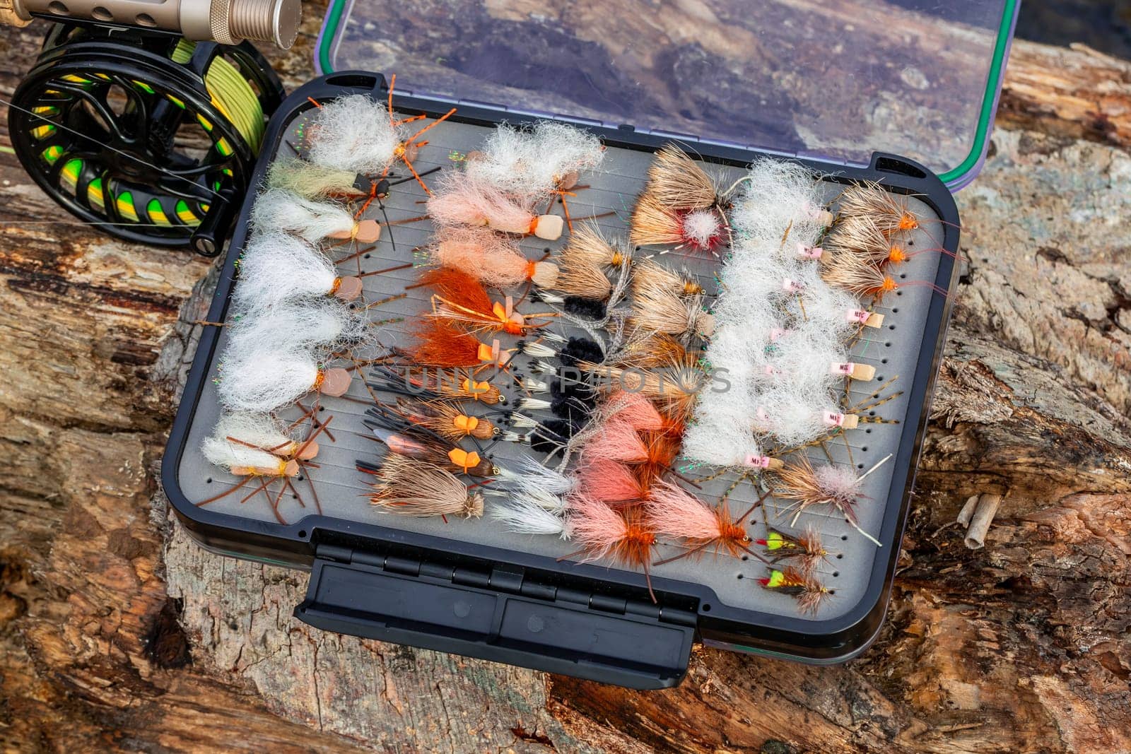 Fly Fishing Box Selection at the River by joshuaraineyphotography