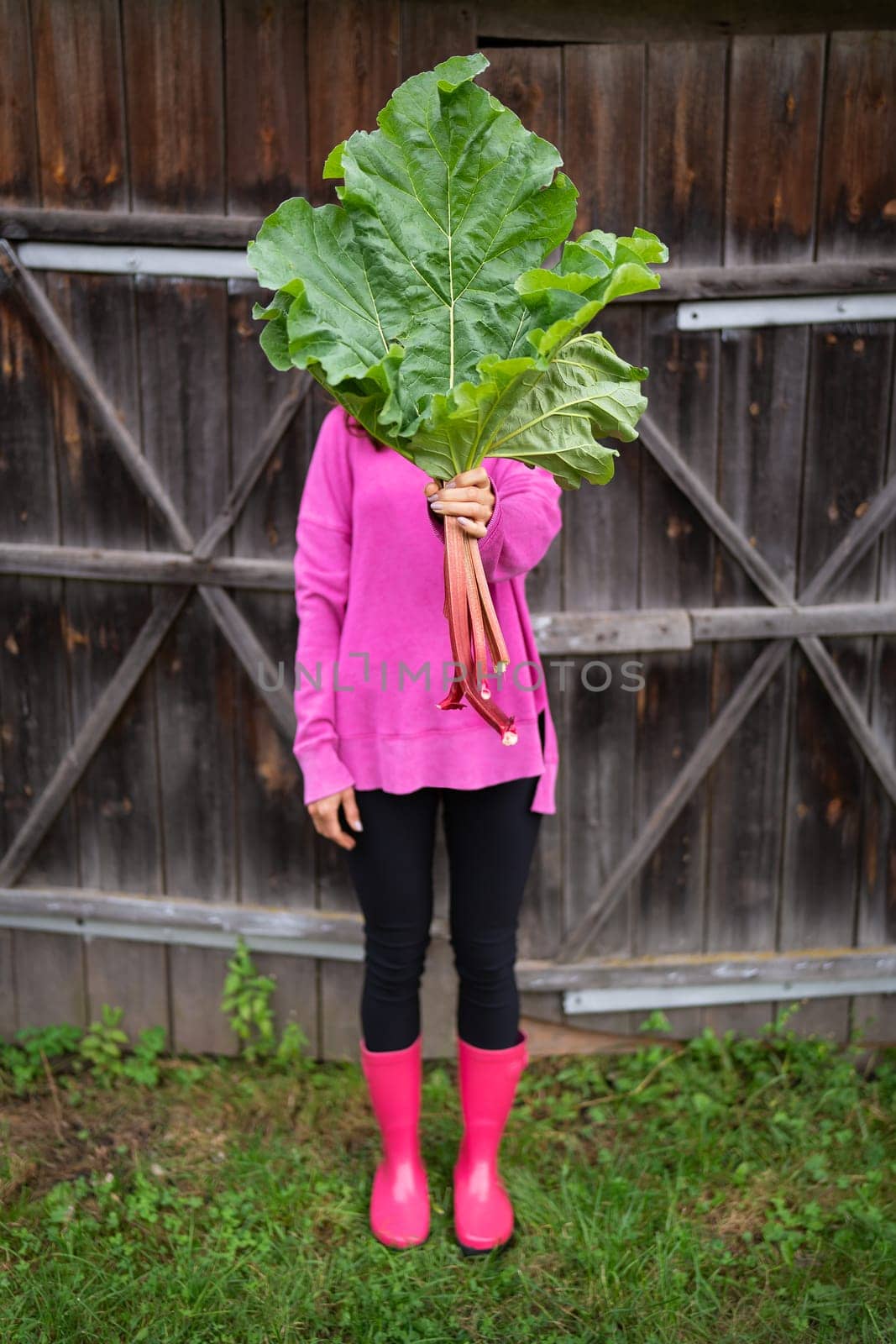 A woman in pink boots and a pink sweater holds a bouquet of rhubarb in her hands. by sfinks