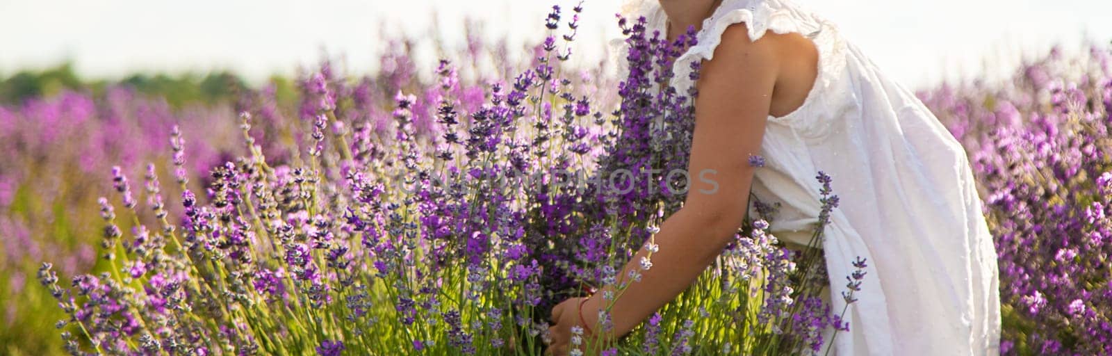 Child girl in lavender field. Selective focus. Kid.