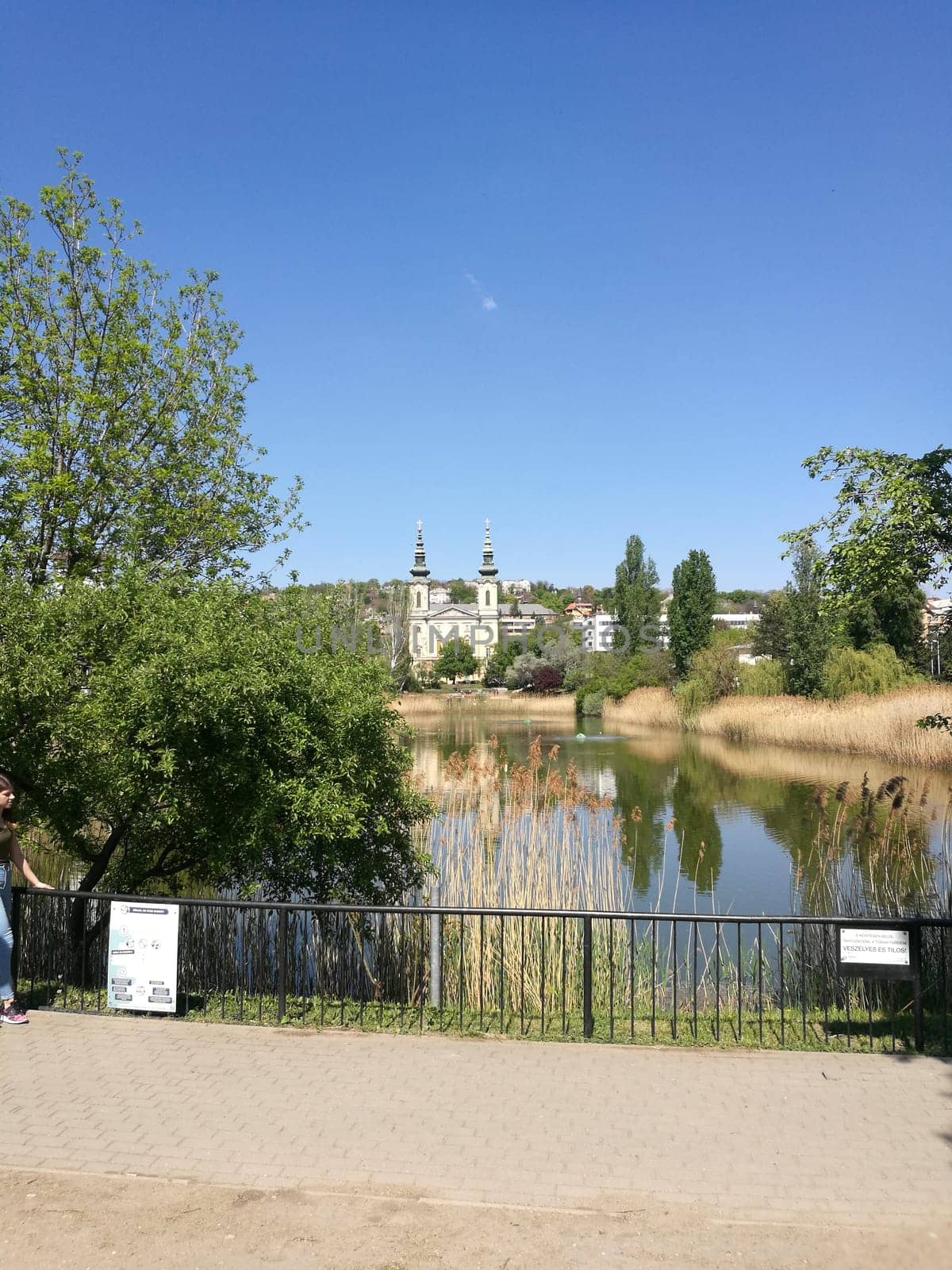 A clear blue sky enhances the tranquil setting by the lake, where lush greenery and tall grasses frame a historic building in the distance, creating a peaceful atmosphere.