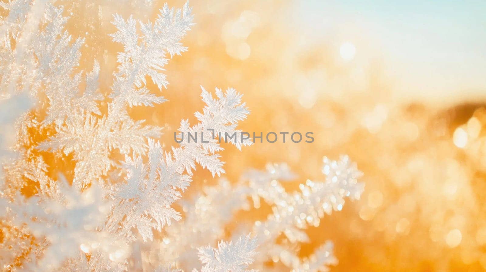 Beautiful ice crystals glistening in golden sunlight, creating a magical winter scene