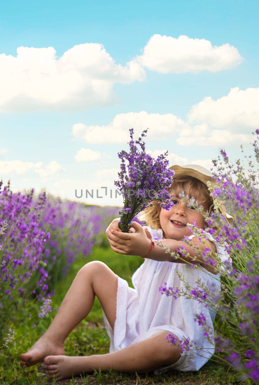 Child girl in lavender field. Selective focus. Kid.