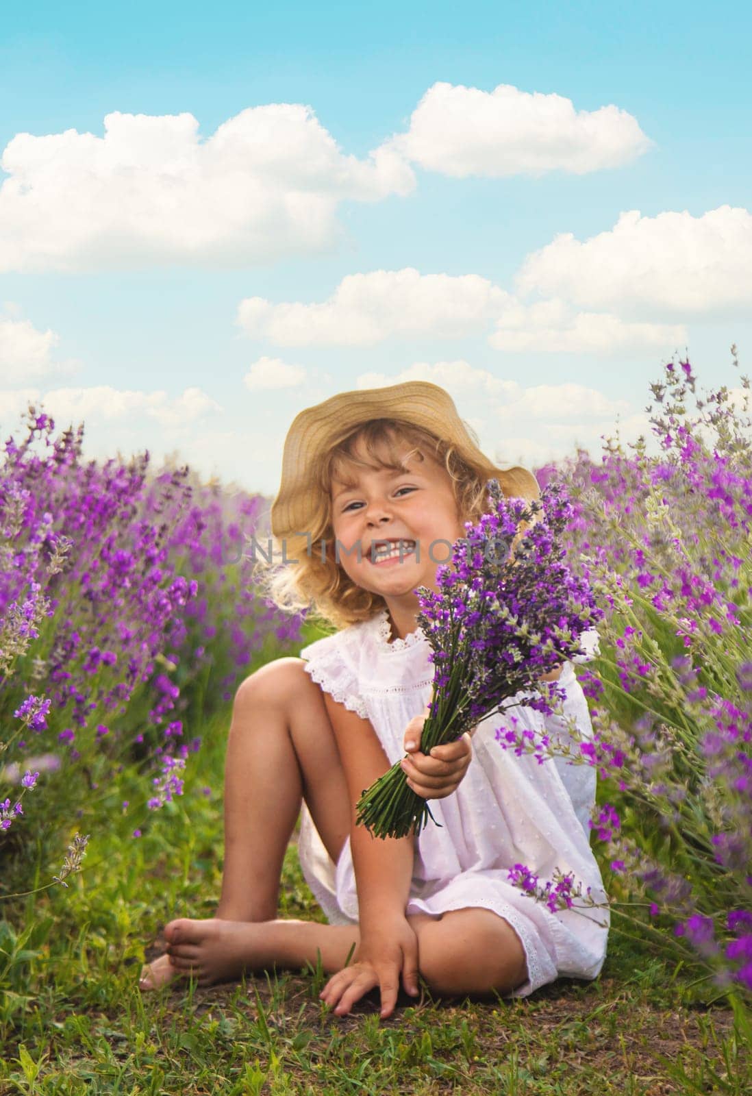 Child girl in lavender field. Selective focus. Kid.