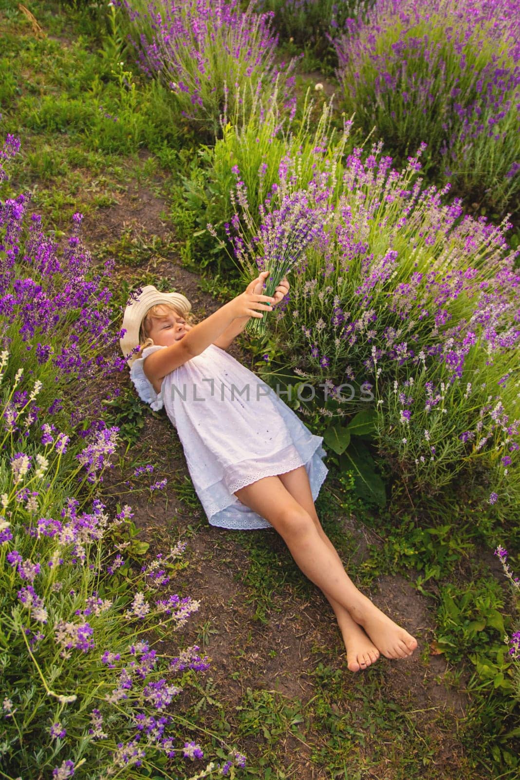 Child girl in lavender field. Selective focus. Kid.