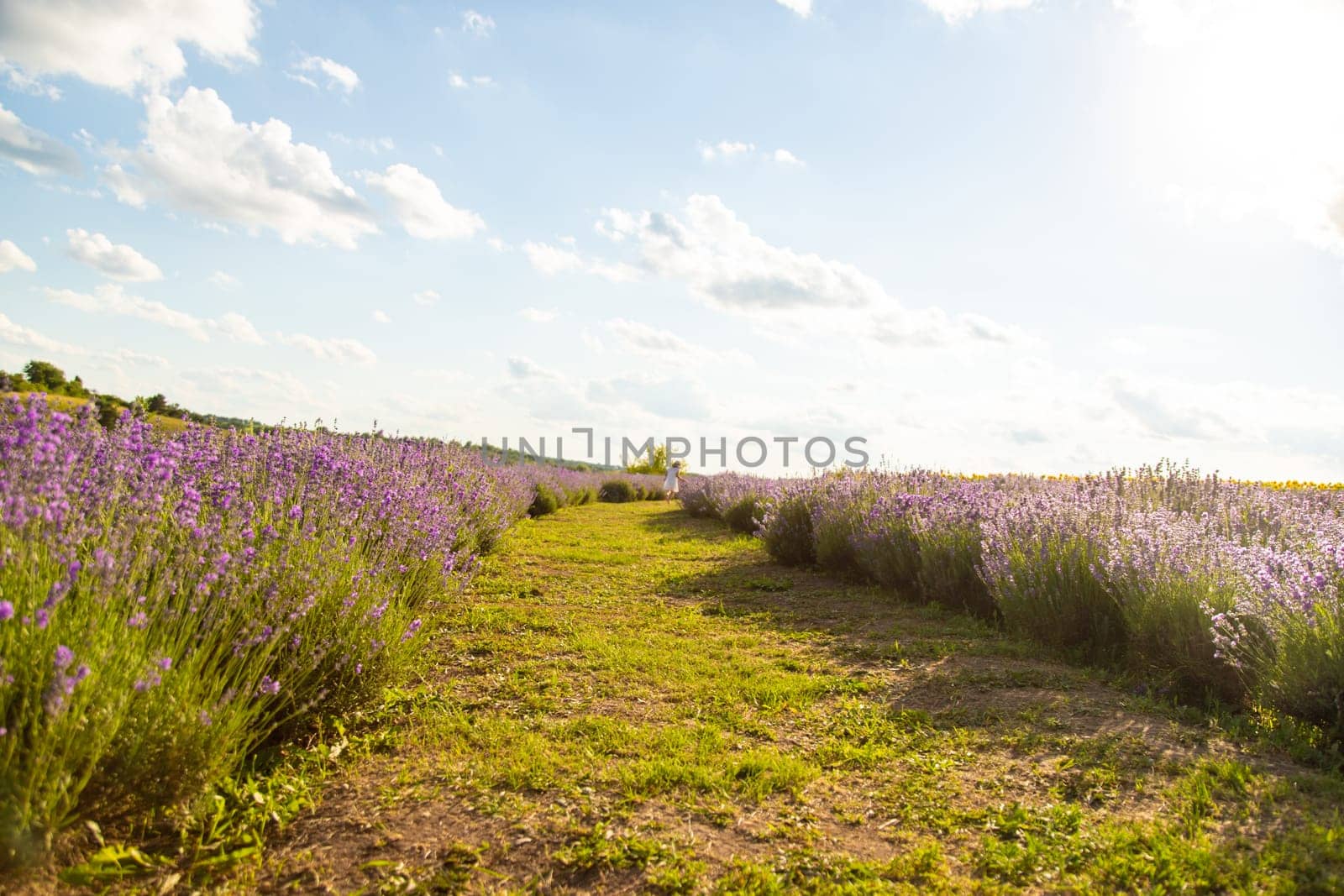 Child girl in lavender field. Selective focus. kid.