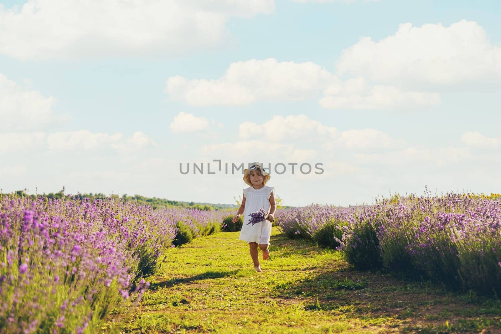 Child girl in lavender field. Selective focus. kid.