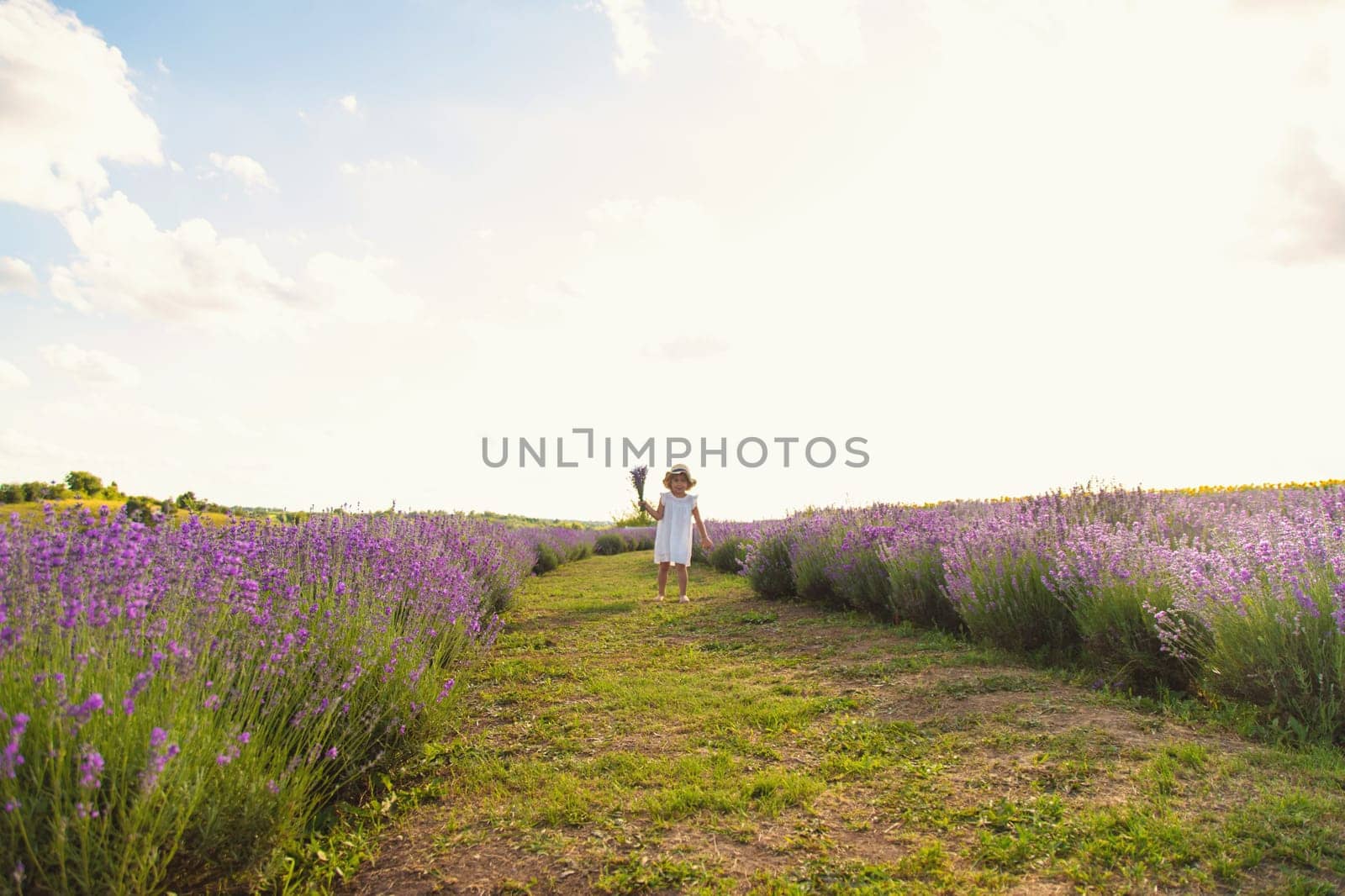Child girl in lavender field. Selective focus. kid.