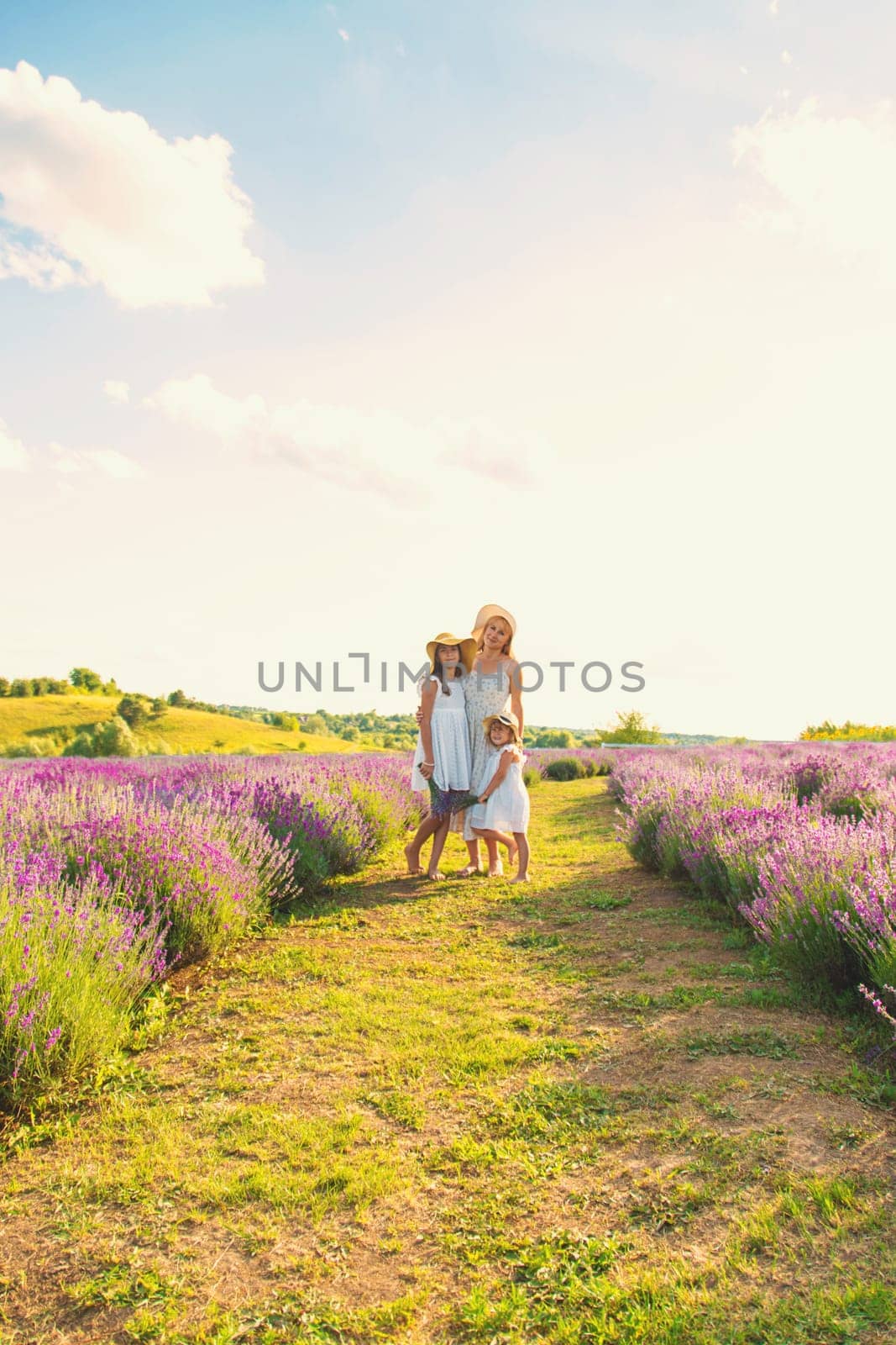 Family in lavender field. Selective focus. kid.