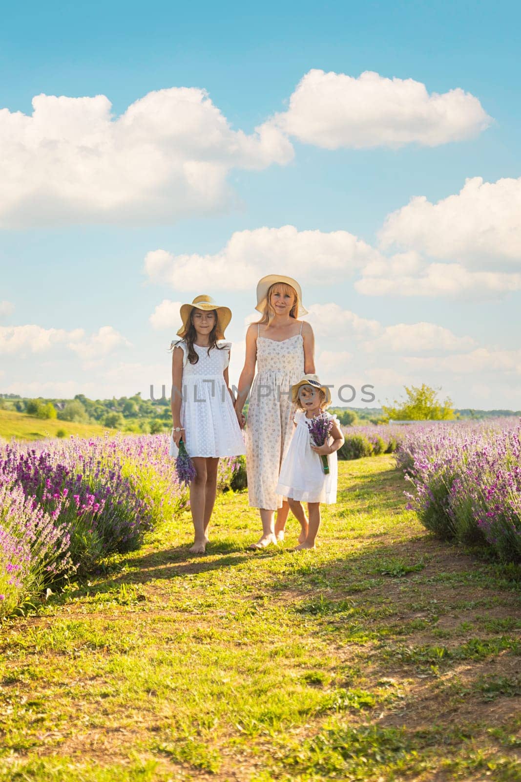 Family in lavender field. Selective focus. kid.