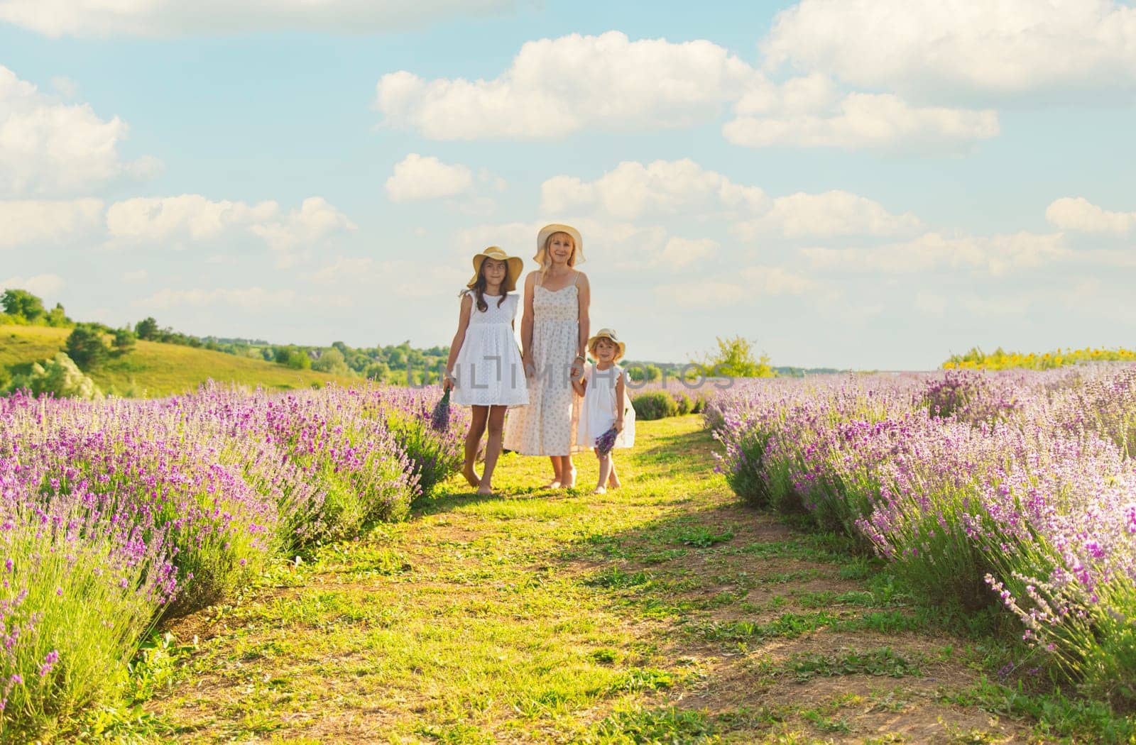 Family in lavender field. Selective focus. kid.