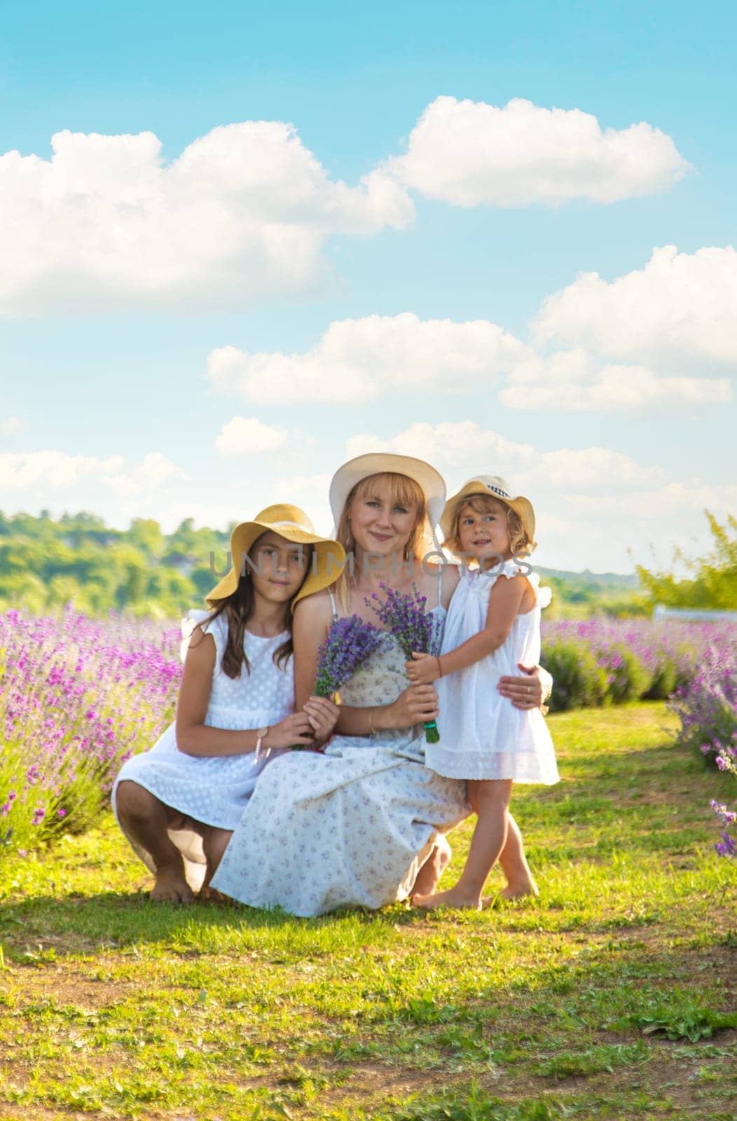 Family in lavender field. Selective focus. kid.