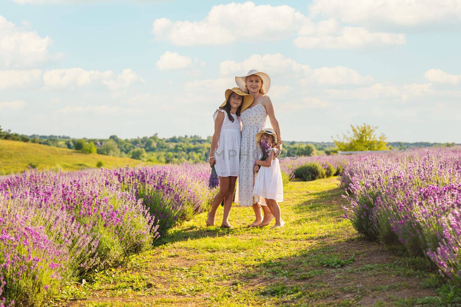 Family in lavender field. Selective focus. kid.