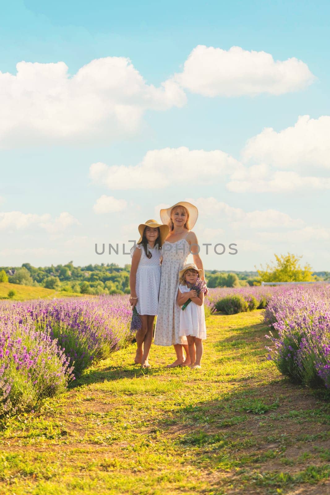 Family in lavender field. Selective focus. kid.