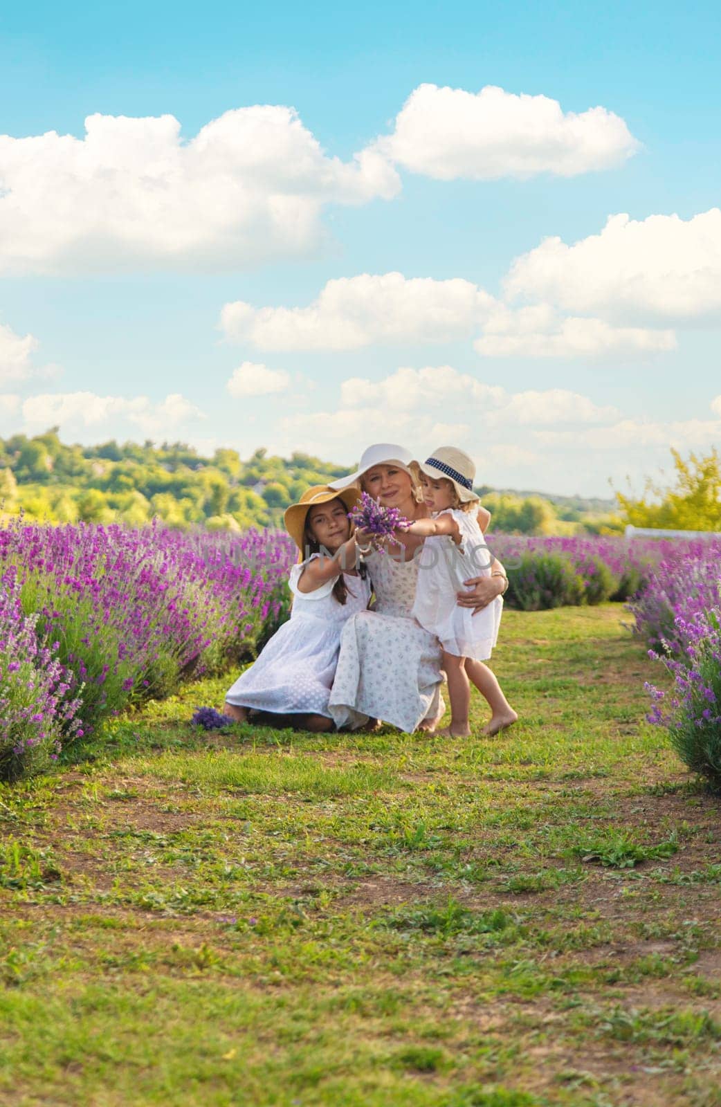 Family in lavender field. Selective focus. kid.