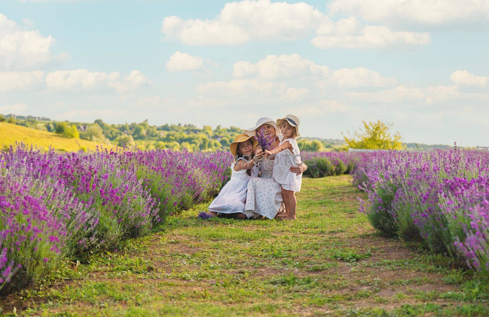 Family in lavender field. Selective focus. kid.