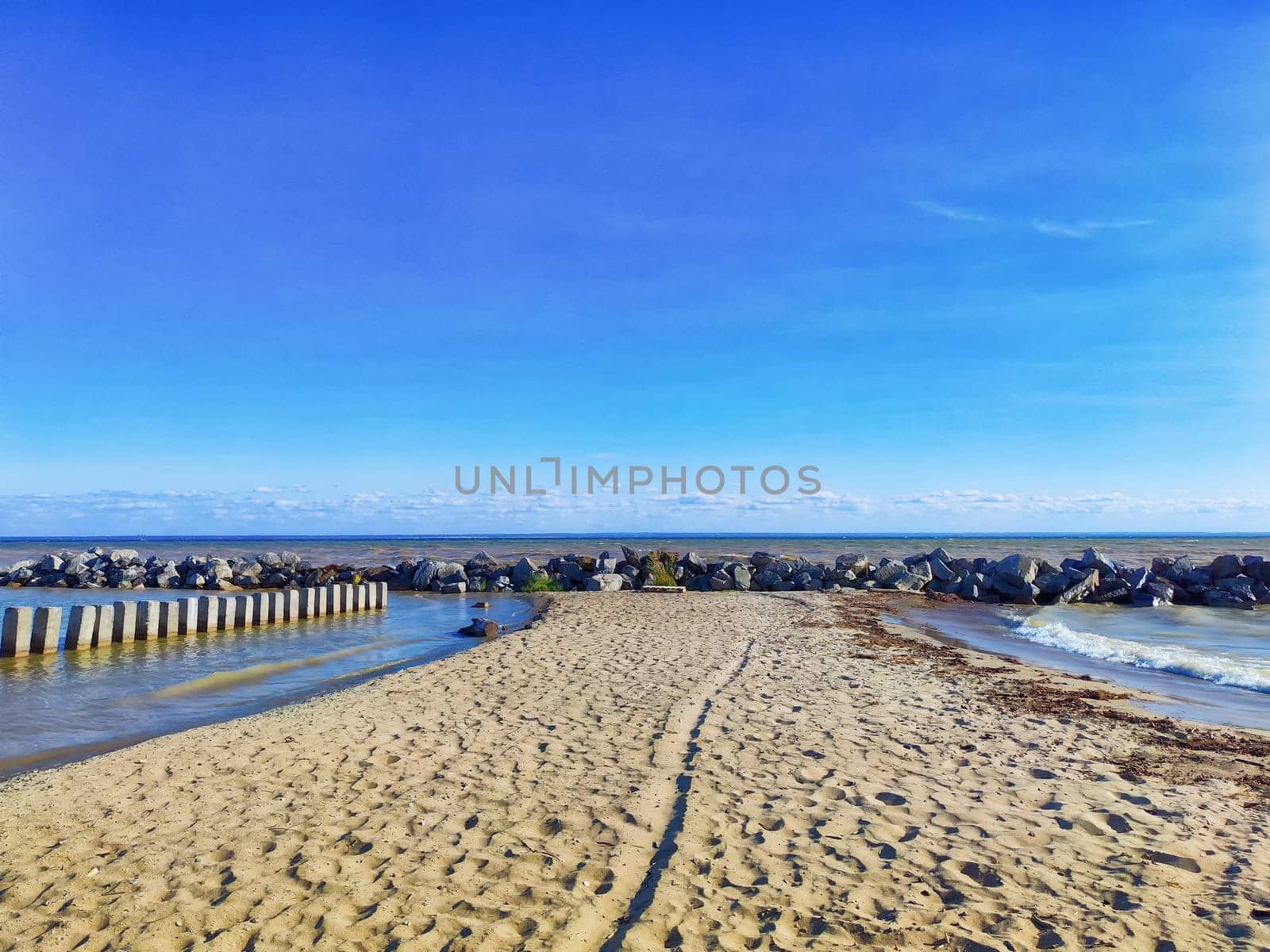 A dog stands on the beach, looking at the waves under a clear blue sky.