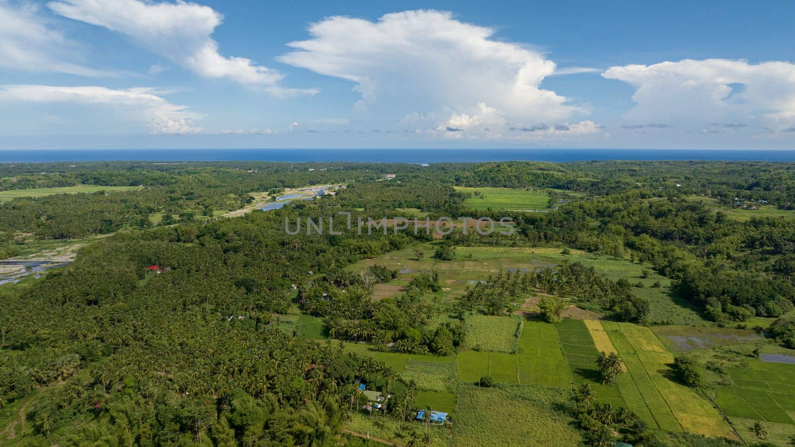 Agricultural land and rice fields in the countryside. Negros, Philippines
