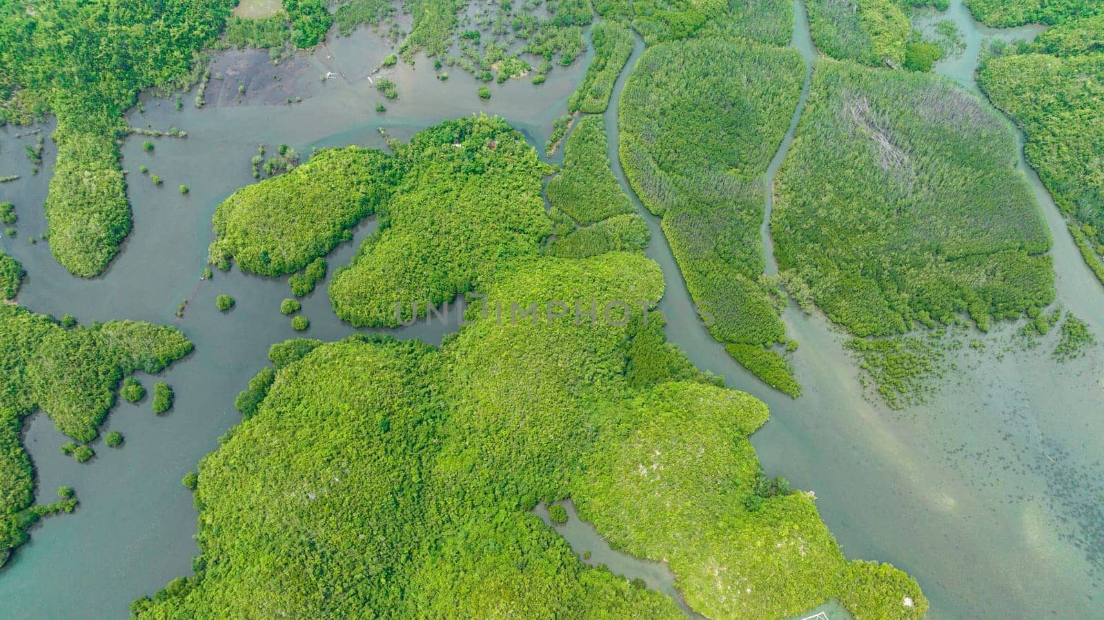 Aerial drone of tropical islands and bays. Seascape with lagoons and cove. Sipalay, Negros, Philippines.