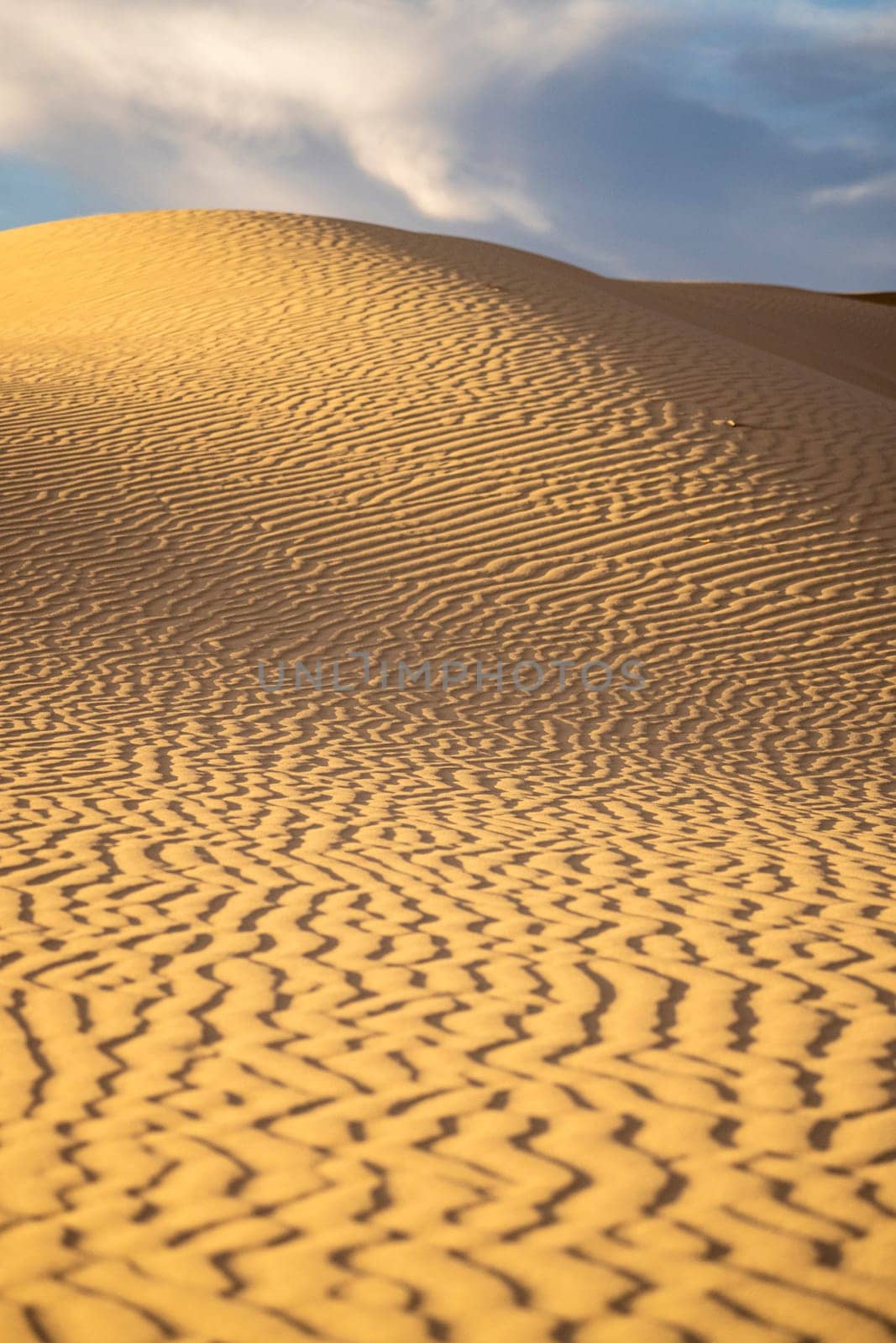 Portrait photo of sands in pattern over sand dunes, with the sun setting and casting shadows over the portrait image. Monahans sandhills, Texas