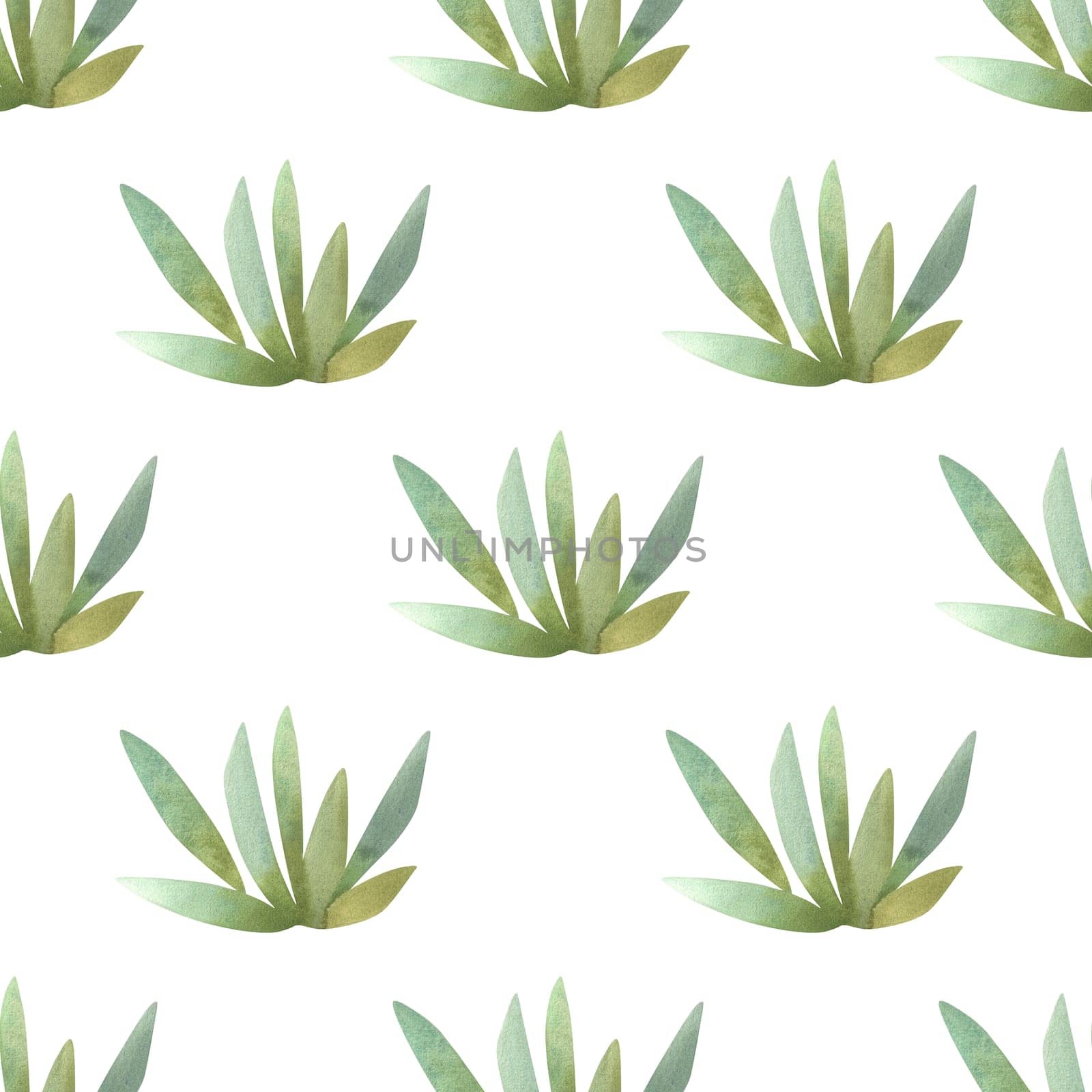 Succulents: seamless watercolor pattern on a white background for wrapping paper and print on fabric, home textiles. Home gardening, hobby