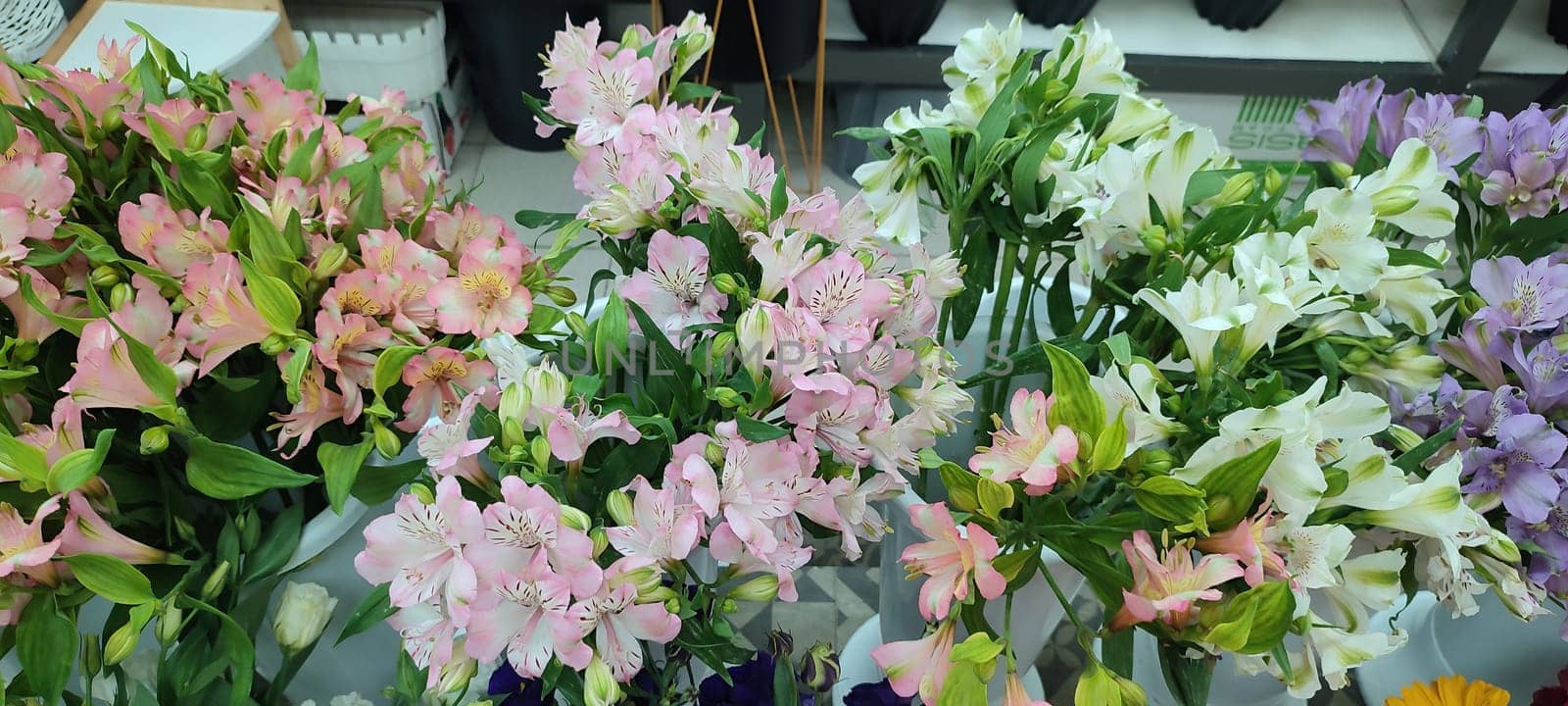 pink lilies and white roses beautiful flowers gerbera, petals plants, flora botanical variety floristry, stems nature. High quality photo