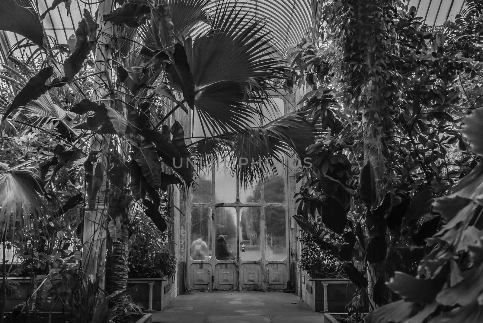 London, UK - Apr 9, 2019 : Beautiful exit door of Palm House at Kew Gardens (Royal Botanic Gardens).