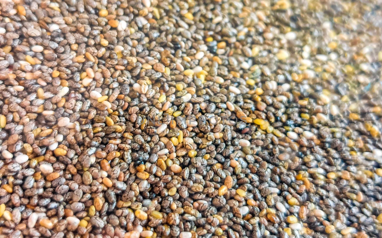 Lots of gray and white chia seed texture pattern in Zicatela Puerto Escondido Oaxaca Mexico.