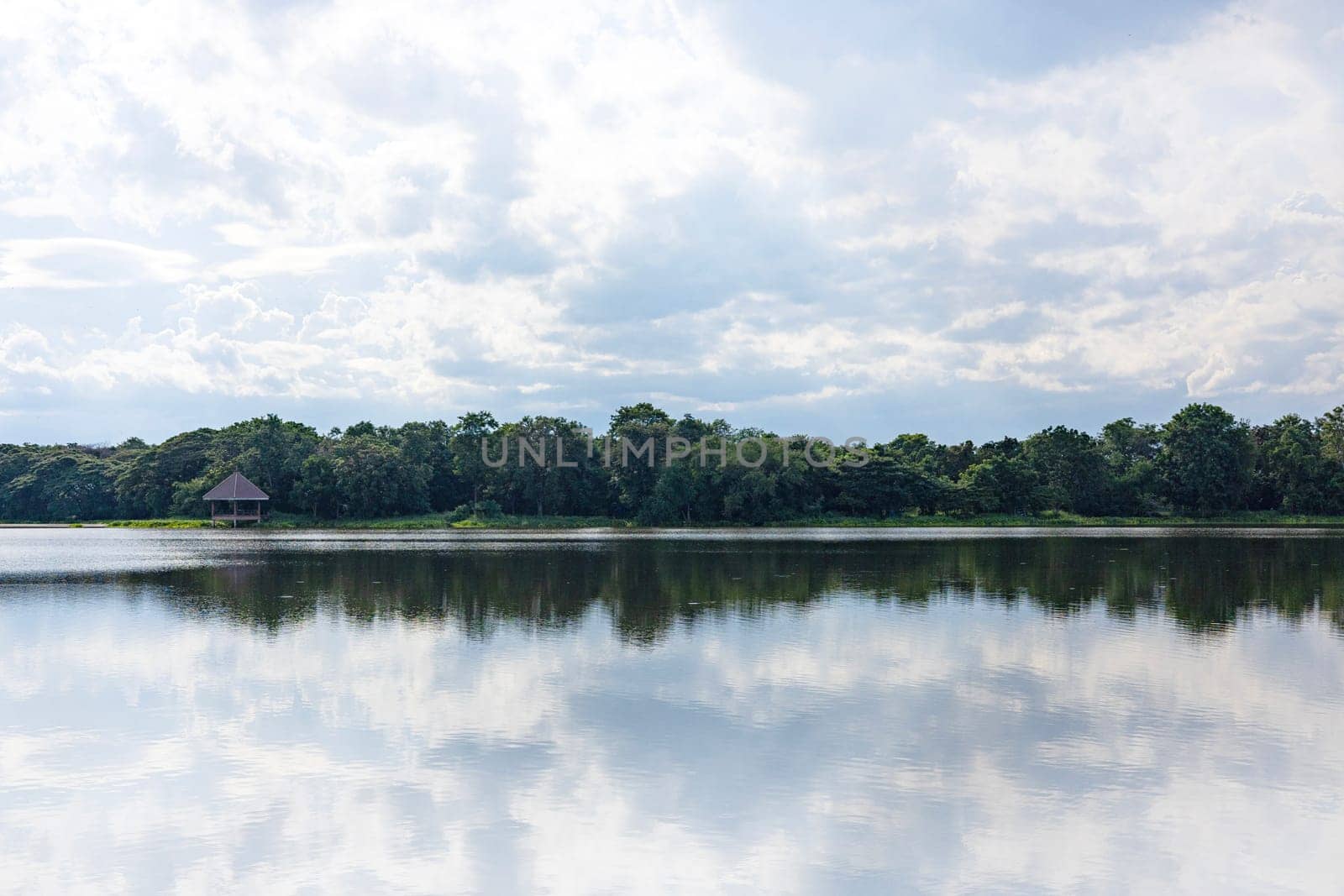 Forest reflection in lake background. A serene landscape with a lake.