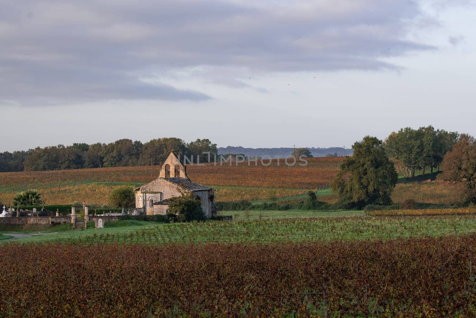 FRANCE, GIRONDE, ENTRE DEUX MERS VINEYARDS, CHURCH WITH AUTUMN COLORS. High quality photo