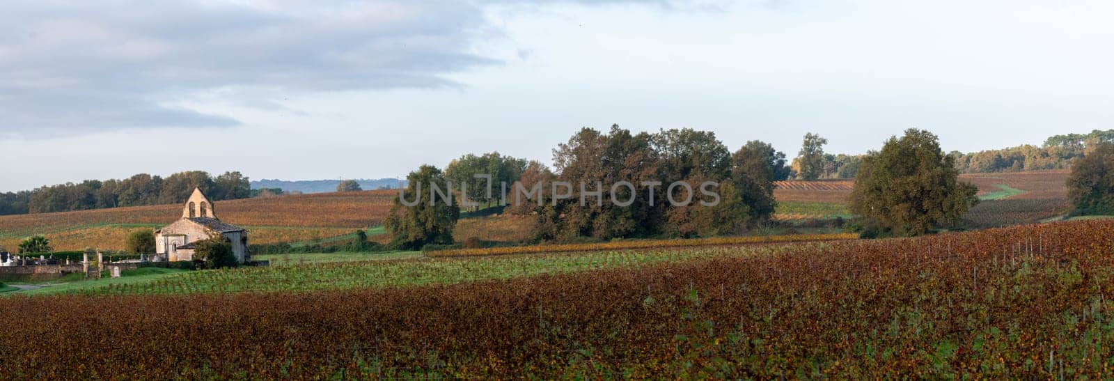 FRANCE, GIRONDE, ENTRE DEUX MERS VINEYARDS, CHURCH WITH AUTUMN COLORS. High quality photo