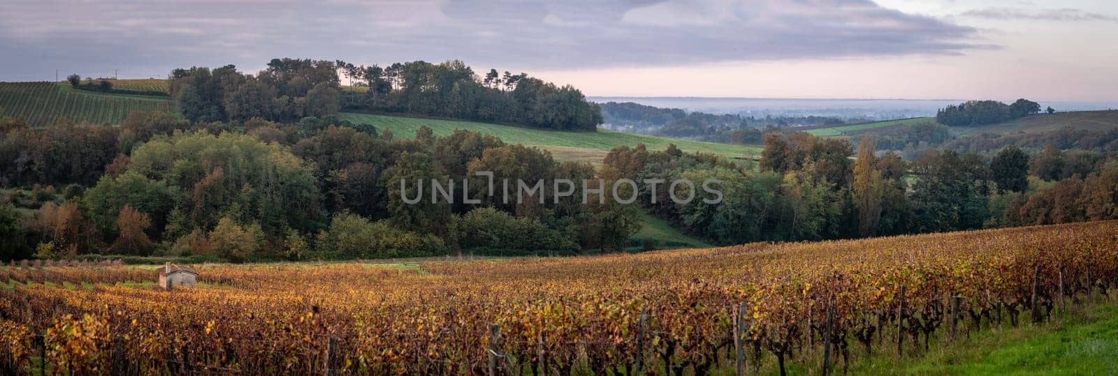 FRANCE, GIRONDE, ENTRE DEUX MERS VINEYARDS, STONE CABIN WITH AUTUMN COLORS, High quality photo